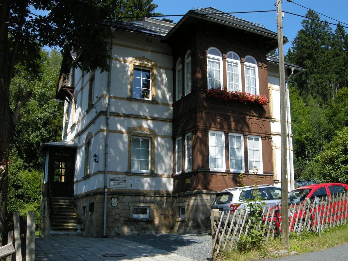 Villa Angelika Altenberg Exterior photo
